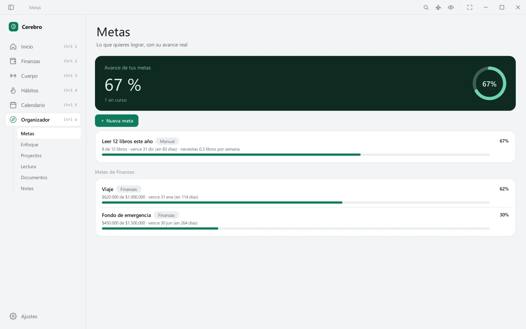 Metas del Organizador con su avance.
